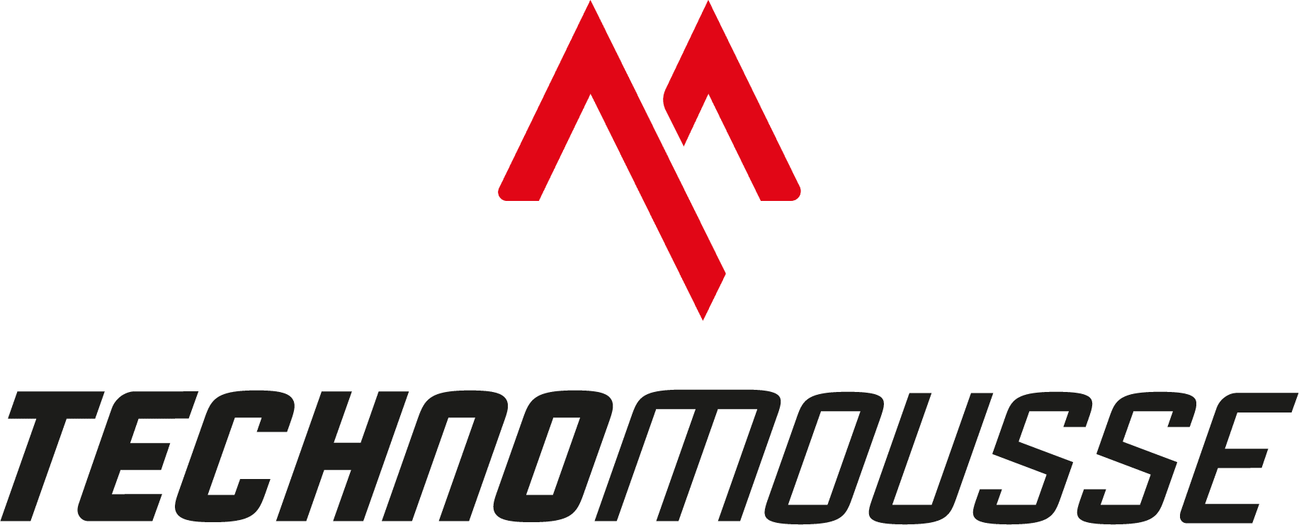 TECHNOMOUSSE_logo_Risorsa 1